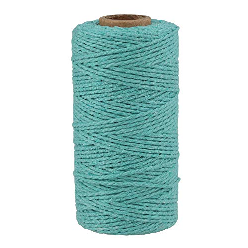 JJSJ Macrame Cord 3 mm x 100 m Macramé Rope Cotton, Handmade Natural Cotton Cord Macrame String for Wall Hanging DIY, Plant Pot Hanger Craft Knitting Handmade Making (Light blue,1)