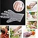Rayhee 500 Pcs Plastic Disposable Gloves - Food Prep Gloves, Transparent, One Size Fits Most