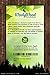 WoolyWood Charcoal Starters for Green Eggs, Kamados and Primo Smokers - Super Fast Lighting, 100% All Natural (36 Count)