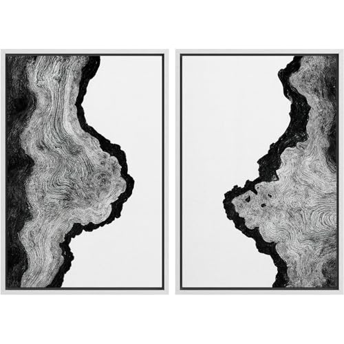 MUDECOR Framed Canvas Print Wall Art Set Black and