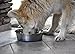 Our Pets Durapet Premium Rubber-Bonded Stainless Steel Dog Bowl 4.5 Quart, 13 Cups, 10.9