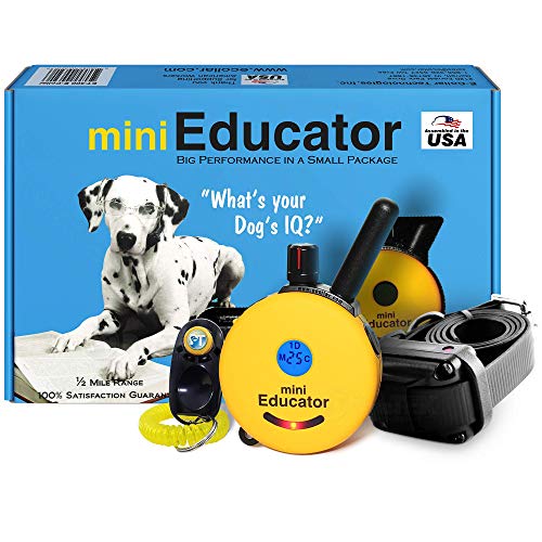 Educator ET-300 Mini E Collar