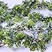 Supla Boxwood Garland Artificial Greenery Garland Wedding Garland Jungle Woodland Faux Leaf Hanging Greens 6.6' Long for Holiday Wedding Greenery Backdrop Table Centerpiece Indoor Outdoor Décor
