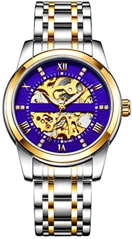 ZBBLJY Men's Watch Mechanical Stainless Steel Wrist Watch,Skeleton Waterproof Automatic Self-Winding Luminous Diamond Dial Wrist Watch,b7