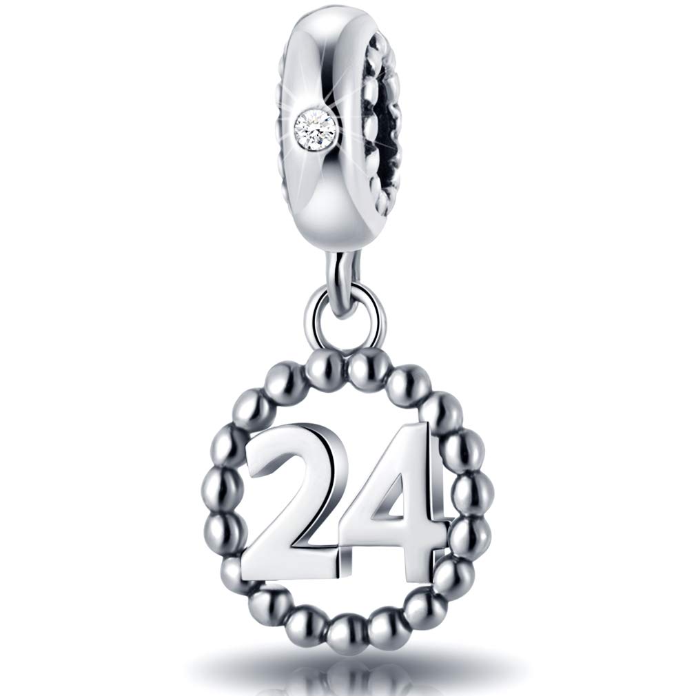 24 Number Bracelet Charms,925 Sterling Silver Pendants Beads Fit Pandora Charm Bracelets, Necklace, and European Snake Chain, Dangle for Happy Birthday 24th Anniversary 24 Years — image 1
