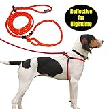 Harness Lead Escape-Resistant image large