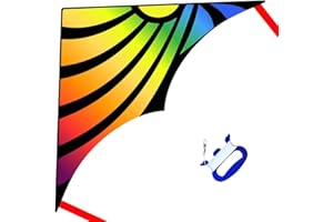 XIDA KITE Large Delta Kite for Kids & Adults, Easy Flyer Single Line Kite, Wonderful Beginner Kite for Kids Ages 4-8. Beach Kite for Outdoor Games and Activities