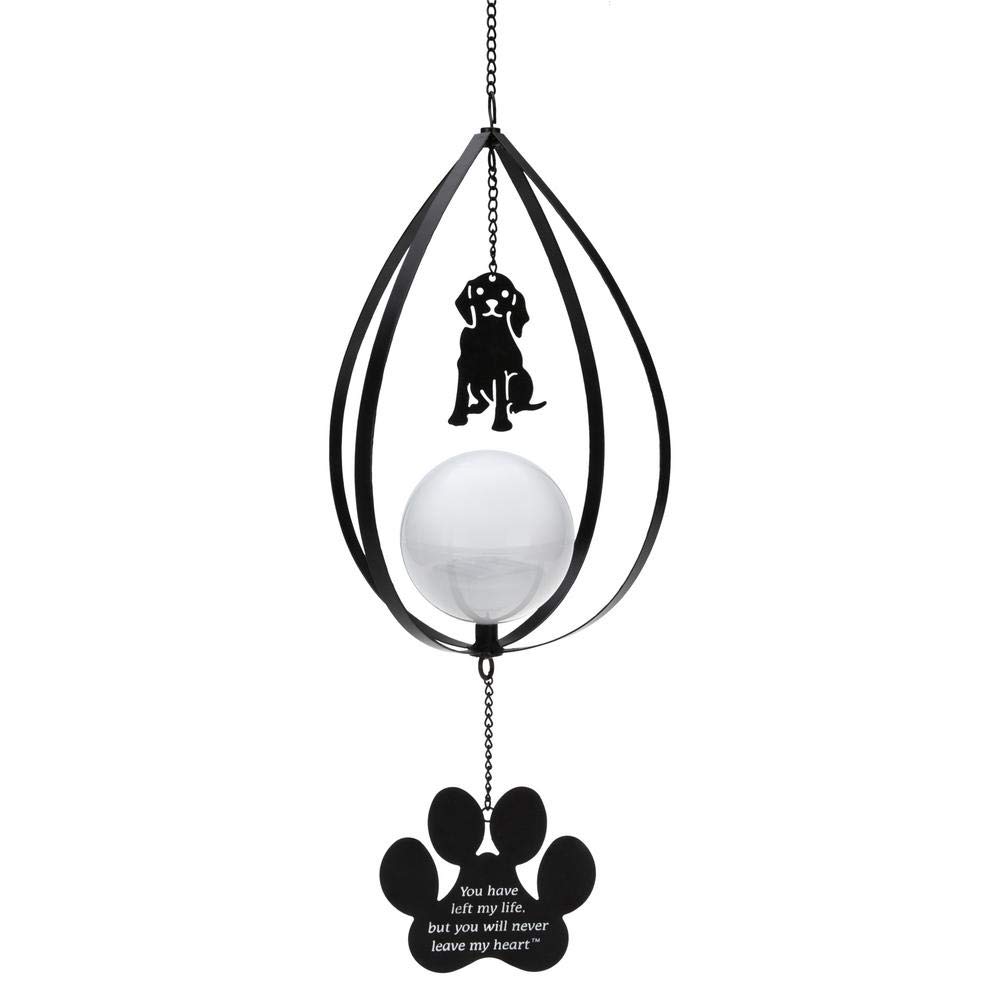 Best Hanging Solar Lights For Garden