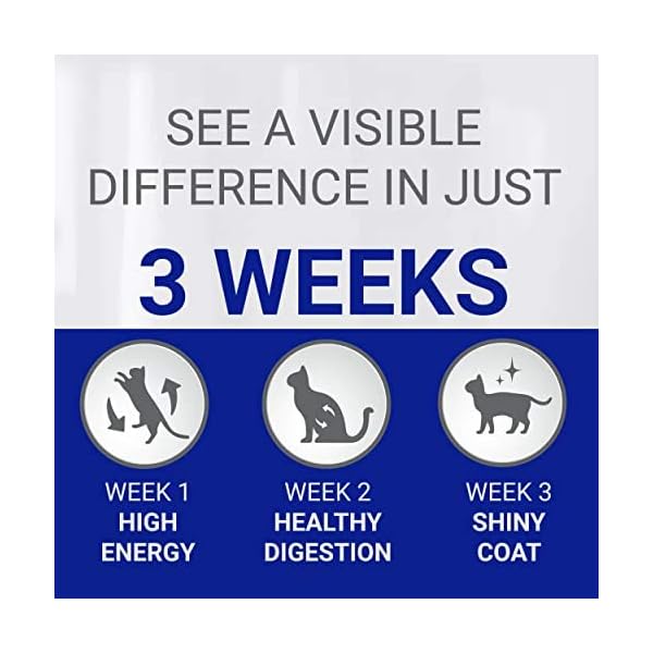 Purina-ONE-Cat-Food-Mini-Fillets-in-Gravy-40-x-85g Purina ONE Adult Cat Food Mini Fillets in Gravy, 40 x 85g