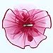 Fascinators Hat Flower Mesh Ribbons Feathers on a Headband and a Clip Tea Party Headwear for Girls and Women(TA1-Burgundy)