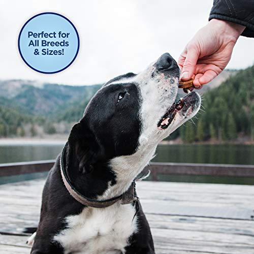 Natural Balance Limited Ingredient Chewy Bites Duck GrainFree Dog