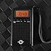 Pocket Radio, Digital AM/FM Radio with Clear Speaker, LCD Screen, Alarm Clock, and Stereo Mode