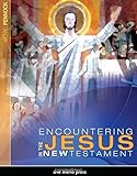 Encountering Jesus in the New Testament