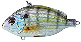 LIVETARGET Pinfish Rattlebait 3 3/4