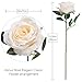 PARTY JOY Vintage Artificial Silk Rose Flower Bouquet Wedding Party Home Decor,Park of 10 (Champagne, 10Pcs)