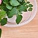 CandyHome 6 Pieces of 10 Inch Plastic Clear Plant Saucers Pot Trays for Indoor Outdoor Household and Garden Assorted, 1-White