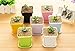 Flower Pots, Xawy 3 Inch 7 Color Plastic Flower Pots To Hang The Balcony Garden Plant Pot Home Decoration （14Pack）