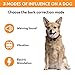 [Newest 2020] Bark collar - Humane Dog Bark Collar - Anti Barking Collar Small Dogs Medium Large Dogs - Rechargeable Anti bark Collar - No bark Collars Sound Warning Vibration Electric Stimulation