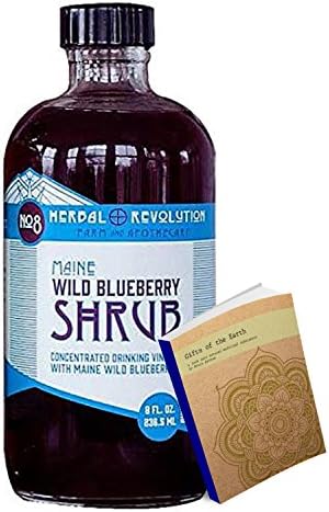 Blueberry Shrub Raw Apple Cider Vinegar 8oz w/ Wild Blueberries and Raw Honey Individually boxed from Herbal Revolution Farm and Apothecary (Blueberry Shrub, 8oz)