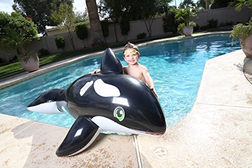 H2OGO! Jumbo Whale Rider Inflatable Pool Float