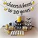 Joymee Cheers to 30 Years Black Glitter Banner for 30th Birthday Wedding Aniversary Party Supplies Decorations - PRESTRUNG (Cheers to 30th Years)