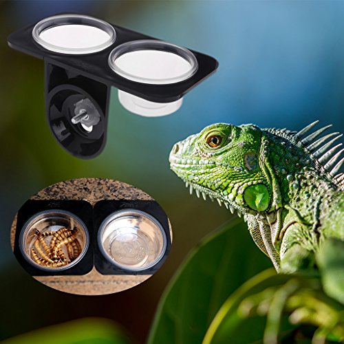Qupida Small Reptile Feeding Dish Food Water Bowl Cup Feeder Bowl Cup Basin Tray Container for Small Pets (Screw, L)