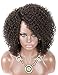 Kalyss Brown Afro Kinky Curly Wigs for Women Premium Synthetic Hair Wig Curved Side Parted Natural Looking Hair Wigs for Women