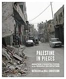 Palestine in pieces book review
