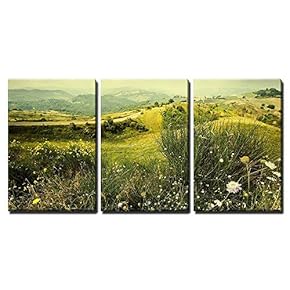 3 Piece Canvas Wall Art - Alpine Meadow Wild Flowers Mountains - Modern Home Art Stretched and Framed Ready to Hang - 16"x24"x3 Panels