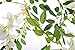 Miracliy Artificial Flowers Vine 2 Pcs 6.6ft Fake Silk Wisteria Ivy Vine Rattan Hanging Garland for Home Party Wedding Decor, White