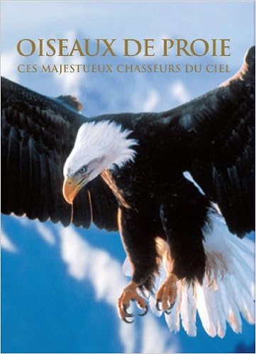 oiseaux-de-proie-ces-majestueux-chasseurs-du-ciel