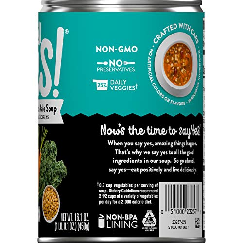 Campbell's Well Yes! Minestrone with Kale Soup, 16.1 oz. Can