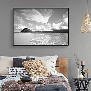 Floating Framed Canvas Wall Art for Living Room, Bedroom Black and White Water Canvas Prints for Home Decoration Ready to Hang - 16x24 inches