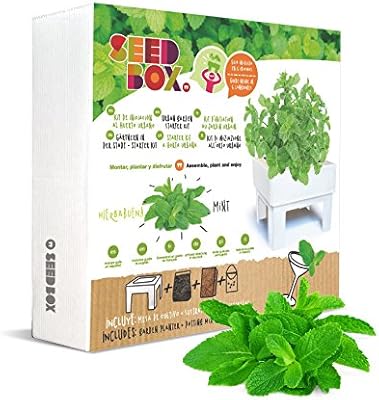SeedBox SBCUHB-Hierba Buena: Amazon.es: Jardín