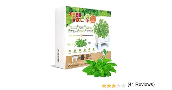 SeedBox SBCUHB-Hierba Buena: Amazon.es: Jardín