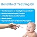 Natural Baby Teething Relief Oil by AlternaKids - Includes Silicone Feeder Pacifier | Made with Clove Oil, Peppermint, Chamomile & Vitamin E, Safe for Infants (2 oz Bottle)