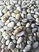 Decorative Pebbles River Rocks 40lbs. (Small, Nature)