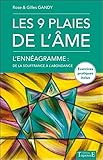 Les 9 plaies de l'âme : L'Ennéagramme : de la souffrance à l'abondance by