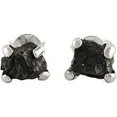 Starborn Creations Agoudal Meteorite Post Style Earrings