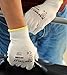 XSHIELD 17-PUG,Polyurethane/Nylon Safety WORK Glove,12 Pairs (Large, White)