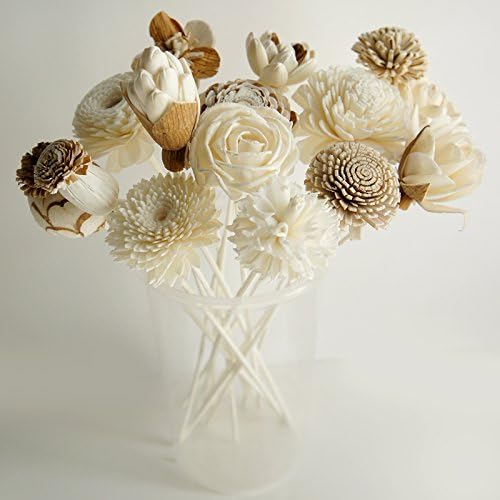 Plawanature Set of 12 Mixed Sola Wood Flower with Reed Diffuser for Home Fragrance Aroma Oil, Beige, 5x20 - Image 5