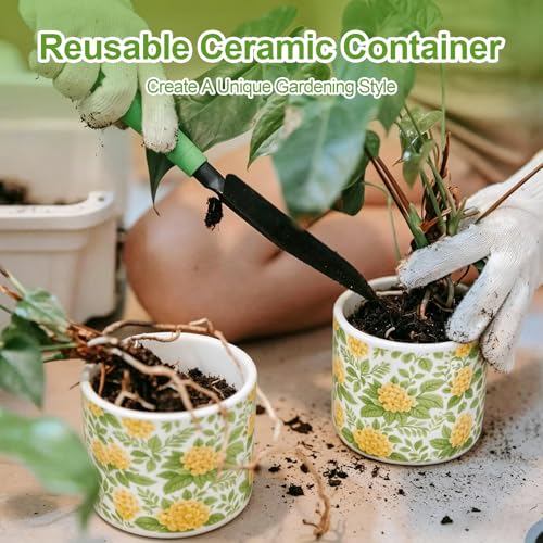 Citronella Outdoor Candle, 240 Hours Citronella Candle, Large Ceramic Outdoor Candle, Pack of 2, Natural Soy Wax Citronella Candle for Garden, Camping, Patio, Picnics, Summer Gift