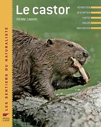 Le  castor