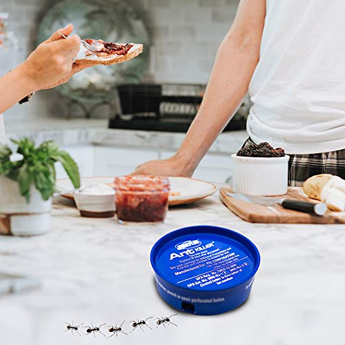 6 Home+Plus+Food+Based+Attractants+Pesticide+Free