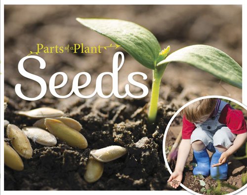 Seeds (Parts of a Plant)