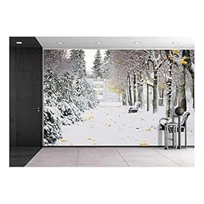 Alley in The Park - Removable Wall Mural | Self-Adhesive Large Wallpaper - 66x96 inches