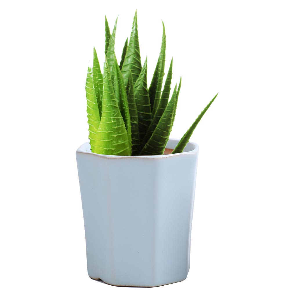 LUCKEGO - Maceta de cerámica con forma hexagonal para cactus ...