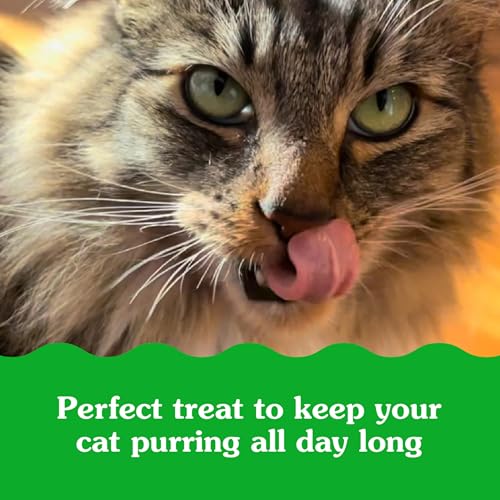 GREENIES FELINE SMARTBITES, CAT TREATS HEALTHY RECIPE, INDOOR CAT TREATS, CHICKEN FLAVOR, 4.6 OZ. PACK