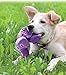 KONG Shells Platypus Dog Toy, Small