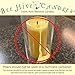 Bee Hive Candles 100% Pure Beeswax Pillar Candle (2